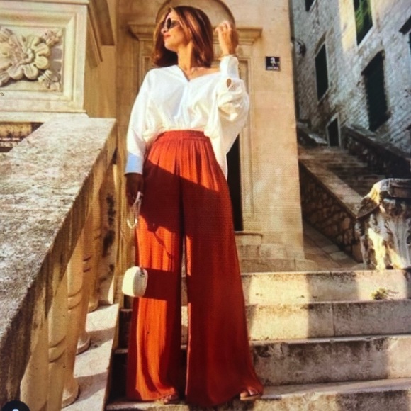 Zara Pants - Zara -Wide Legged Palazzo Pants